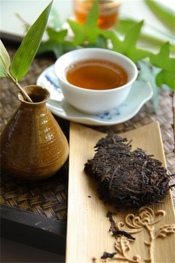カトレアランの育て方、雌花と雄花が咲く秘密とコツ