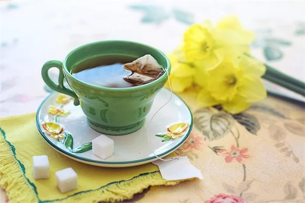 紅枝山茱萸の剪定：大きくなりすぎた低木を2つの方法で救う