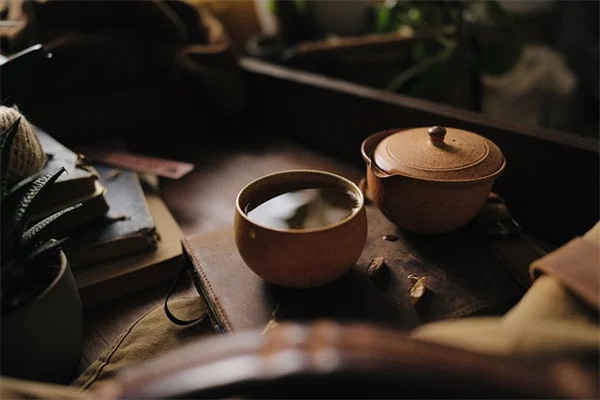 園芸用語の笑える誤解を読み解く！ラベルの真実と失敗しないコツ